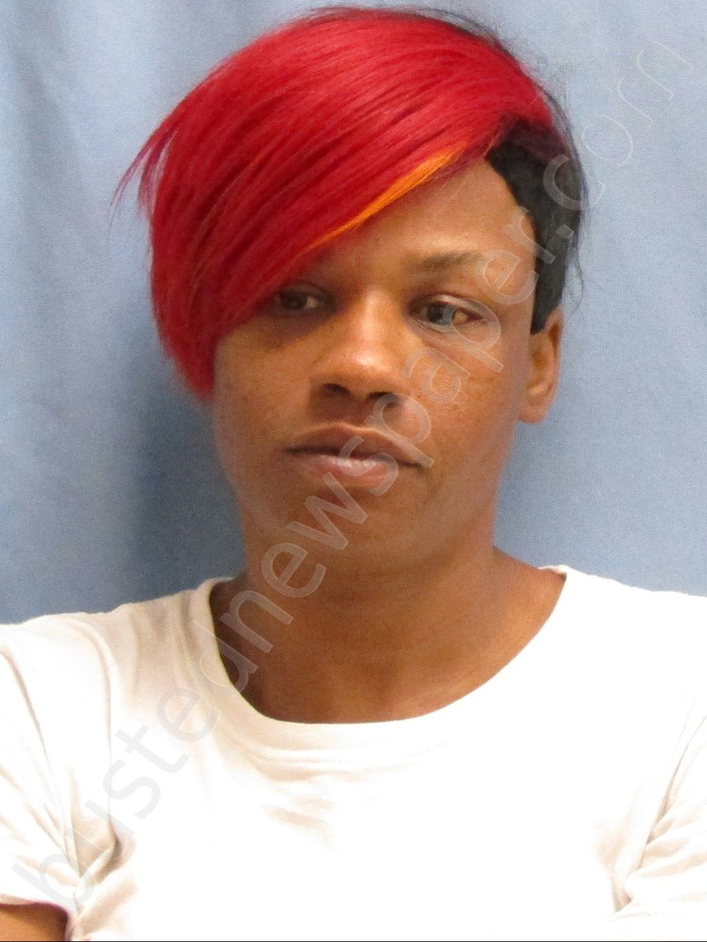 HUDSPETH,SHAMIRRA NECHELLE #, Pulaski County, Arkansas - 2019-10-21 03:14:00