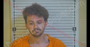 ADAM D POWELL | 2019-10-21 19:45:00 Taylor County, Kentucky Booking