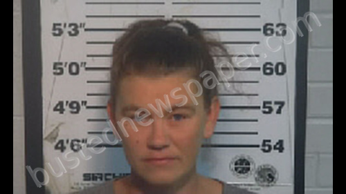 GIBSON, ANGELA CHRISTINE #, Monroe County, Tennessee - 2019-10-22 13:00:00