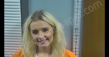 AMBERLEE S DELPHOUS | 2019-10-22 10:03:00 Ottawa County, Ohio Booking