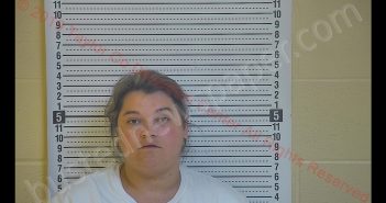 DENISE L LAMER | 2019-10-23 16:50:00 Taylor County, Kentucky Booking