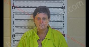 STACY L WILSON | 2019-10-24 20:27:00 Taylor County, Kentucky Booking