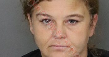 LISA MICHELLE BUSH | 2019-10-25 09:19:00 Anderson County, South Carolina Booking