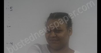 TYONNA RENEE SEARS | 2019-10-25 19:30:00 Western Tidewater, Virginia Booking