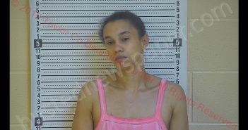 MEGAN R DICKENS | 2019-10-25 19:03:00 Taylor County, Kentucky Booking