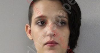 STARR MARIE ADAMS | 2019-10-25 Southwest Regional Jail, Virginia Booking