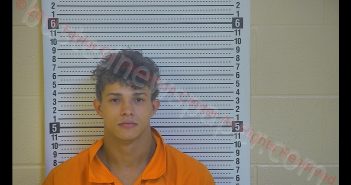 DRAKE A WILLEN | 2019-10-26 23:46:00 Taylor County, Kentucky Booking