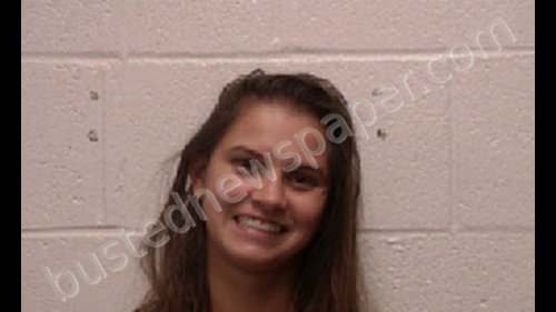 NELSON, JESSICA JEANINE #, Robertson County, Tennessee - 2019-10-27 02:39:00