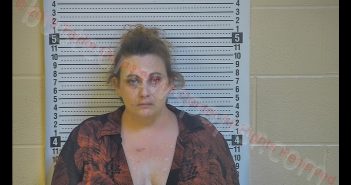 HALEY LYNN DOLPHAY | 2019-10-28 22:52:00 Taylor County, Kentucky Booking