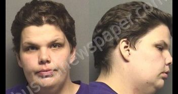 ARDIS,BRITTANY NICOLE | 2019-10-28 00:18:00 Saline County, Kansas Booking