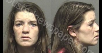 CHAMBERS,BONNIE LEE | 2019-10-29 02:45:00 Saline County, Kansas Booking