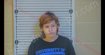 BRITTANY N SAMMONS | 2019-10-29 11:09:00 Taylor County, Kentucky Booking