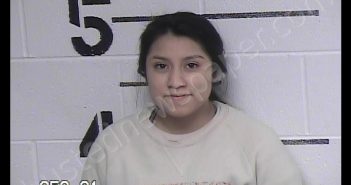 SANCHEZ-TOLENTINO, DELIA ELOIZA | 2019-10-30 18:25:00 Chase County, Kansas Booking