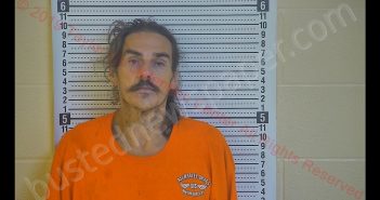 KENNETH D BURRESS | 2019-10-30 15:58:00 Taylor County, Kentucky Booking