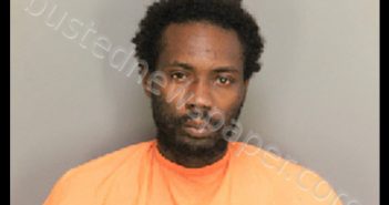 WILLIAMS, COURTNEY ANTONIA | 2019-10-31 00:44:00 Florence County, South Carolina Booking