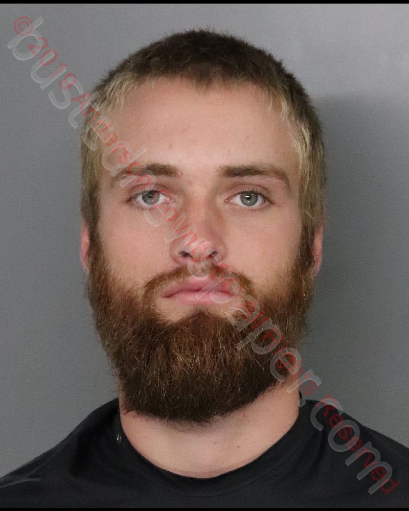 JACOB MILS EMERSON #, Anderson County, South Carolina - 2019-10-31 11:11:00