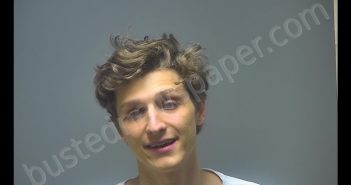 WYATT RANDILL WANGLER | 2019-11-01 00:17:00 Isabella County, Michigan Booking
