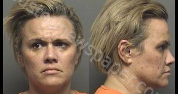 AMRINE,AUDREY ANNE | 2019-11-01 10:40:00 Saline County, Kansas Booking