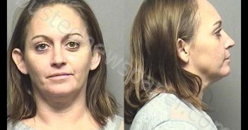 PICKING,SHANON LEIGH | 2019-11-01 18:18:00 Saline County, Kansas Booking