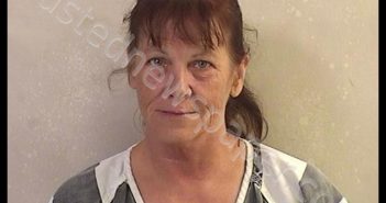 SLOVER, SUSAN MARIE | 2019-11-01 10:27:00 Dickinson County, Kansas Booking