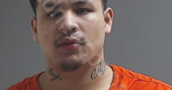 <B>CASTILLO</B>, ISAIAH <B>VICTOR</B> #, Hidalgo County, Texas - 2019-11-01
