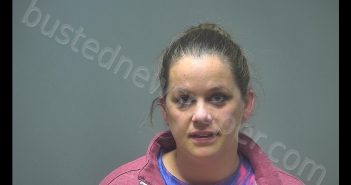 AMBER LYNN PATTISON | 2019-11-01 20:39:00 Isabella County, Michigan Booking