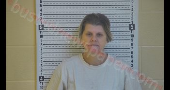 MILICENT BETH JONES | 2019-11-01 20:59:00 Taylor County, Kentucky Booking