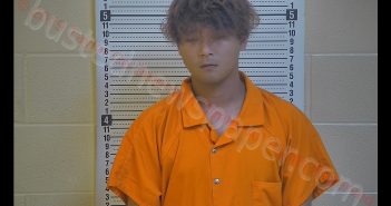 JEONG HONG | 2019-11-01 01:08:00 Taylor County, Kentucky Booking