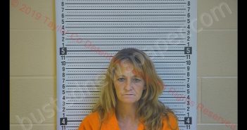 WANDA FAITH MANNING | 2019-11-01 13:26:00 Taylor County, Kentucky Booking