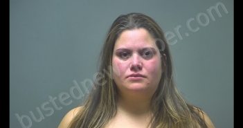 JESSICA LU TERESA STOWERS | 2019-11-01 22:16:00 Isabella County, Michigan Booking