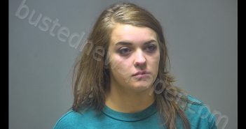 AMBER MARIE INGRAHAM | 2019-11-01 04:56:00 Isabella County, Michigan Booking