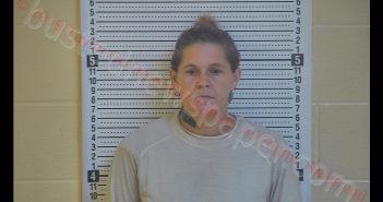 ANGELA MARIE THOMAS | 2019-11-01 21:43:00 Taylor County, Kentucky Booking