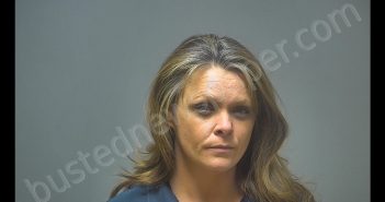 JAMIE LYNN RIPLEY | 2019-11-02 Isabella County, Michigan Booking