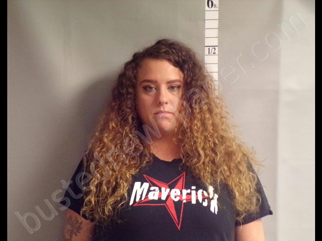 ANDERSON, COURTNEY JO #, Tyler County, West Virginia - 2019-11-02 22:15:00