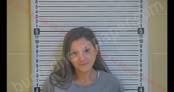 ALTA J MATTINGLY | 2019-11-02 16:57:00 Taylor County, Kentucky Booking