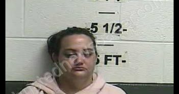 SHANNA LYNN LLEWELLYN | 2019-11-02 20:17:00 Whitley County, Kentucky Booking