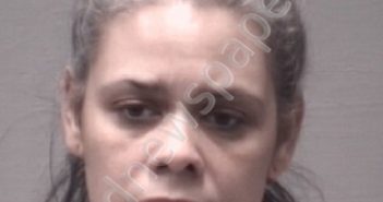 BROWN, NICOLE LOUISE | 2019-11-02 New Hanover County, North Carolina Booking