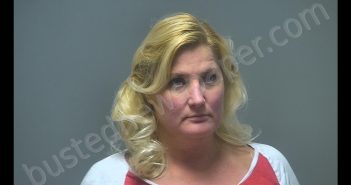 BREHAN MELYN HARVILL | 2019-11-03 21:37:00 Isabella County, Michigan Booking