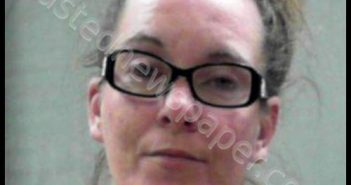 REED, CHRISTINA ANN | 2019-11-03 18:50:00 Ohio County, West Virginia Booking