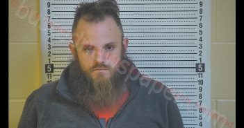 DALTON WILLIAM STEWARD | 2019-11-03 22:11:00 Taylor County, Kentucky Booking