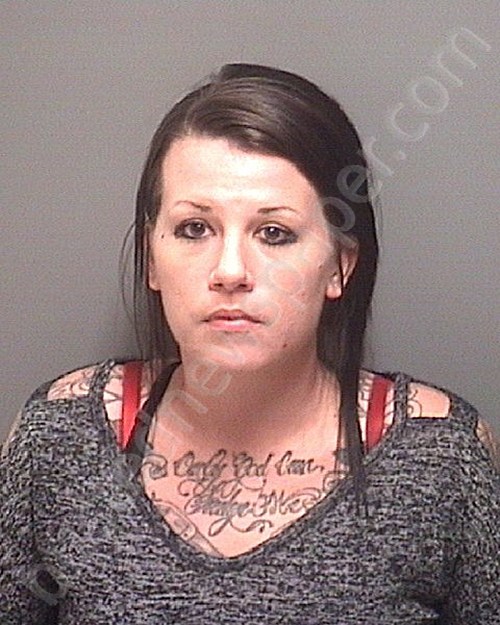 ERTMAN, ALEXANDRA DANAE #, Morgan County, Alabama - 2019-11-03 12:00:00