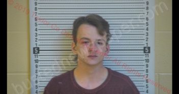 MERICK LANE TURNER | 2019-11-04 00:25:00 Taylor County, Kentucky Booking