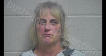 BRENDA BISHOP | 2019-11-04 20:03:00 Oldham County, Kentucky Booking