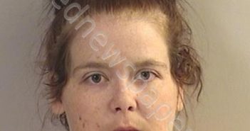 ALLEN, LYNN MARIE | 2019-11-05 21:44:00 Dickinson County, Kansas Booking