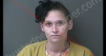 KATHERYNE ELAINE GONZALEZ | 2019-11-05 02:37:00 Howard County, Indiana Booking