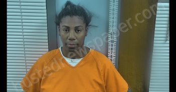 <B>BRANDY</B> D <B>HAYES</B> #, Ottawa County, Ohio - 2019-11-06 16:33:00