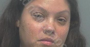 BETANCOURT, VANESSA LEONA | 2019-11-06 22:02:00 Lee County, Florida Booking