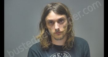 TRAVIS LEROY LANGLOIS | 2019-11-06 01:00:00 Isabella County, Michigan Booking