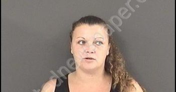 WIMMER, DANESSA MAE | 2019-11-08 14:45:00 Roanoke County, Virginia Booking