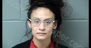 LIGHT, <B>STEPHANIE</B> L #, <b>Woodford</b> County, Illinois, Woodford County, Illinois - 2019-11-08 12:58:00